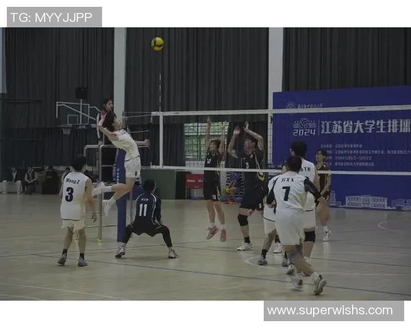 杭州排球队在世界锦标赛中的团队协作表现分析与点评