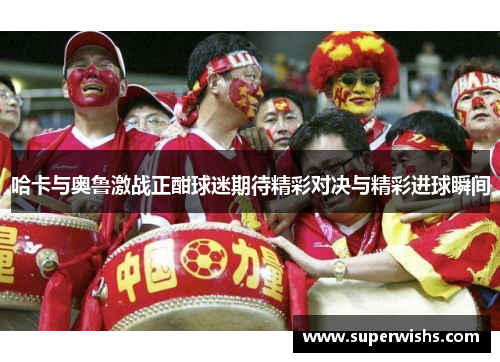 哈卡与奥鲁激战正酣球迷期待精彩对决与精彩进球瞬间